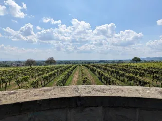 Ausblick Richtung Süden