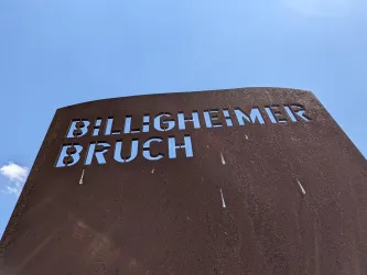 Billigheimer Bruch