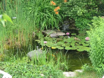 Gästehaus Schenk Garten