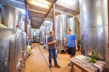 Im Keller (© Weingut Rauschkolb)