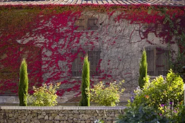 Westwind Weine (© Weingut Hein/Westwind Weine)
