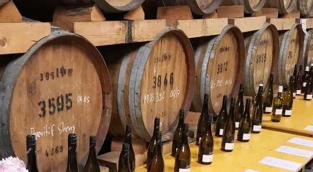 Wein- & Sektgut, Destillerie Bergkeller 3