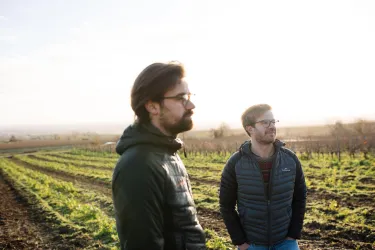 Weingut Scheuermann 1