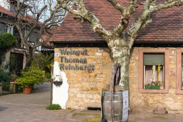 Weingut Thomas Reinhardt