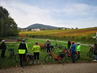 E-Bike Genusstour_Herbst (© Peter Mohr)