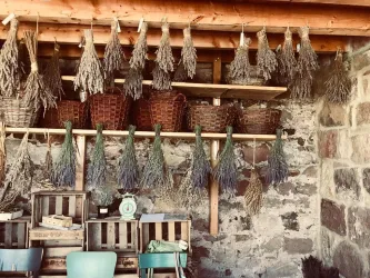 Lavendel (© Kräutergarten)