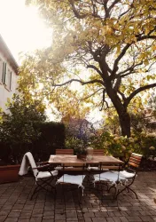 Hoffest im Weingut J.J. Berizzi