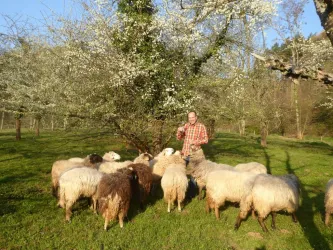 Weingut Bernd Schäfer (© Weingut Bernd Schäfer)