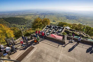 Rietburg Edenkoben (© Tourismusbüro Verein SÜW Edenkoben)