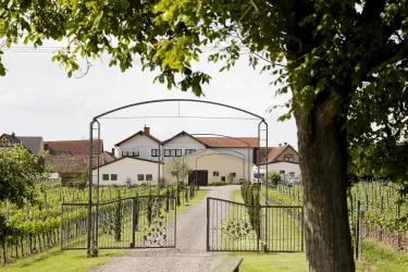 Weingut Fitz-Schneider (© Weingut Fitz-Schneider)