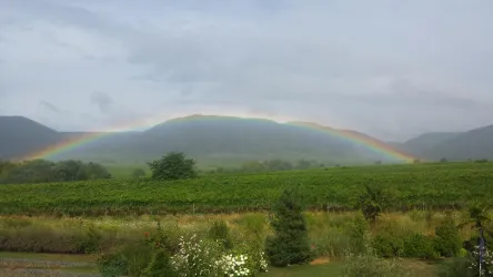 Regenbogen