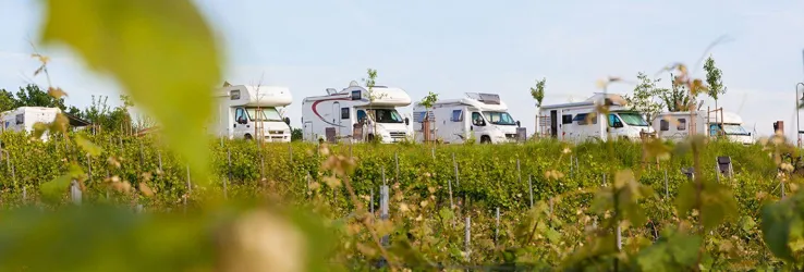 Wohnmobilstellplatz (© Weingut Geiger)