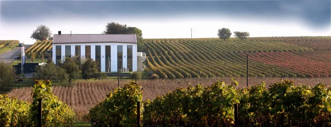 Weingut Karl Pfaffmann Walsheim