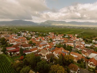 Luftansicht Walsheim