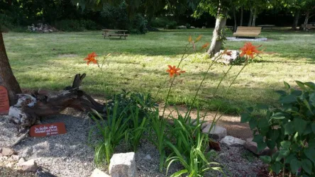 Pfrimmgarten Monsheim (© Iris Merkel)