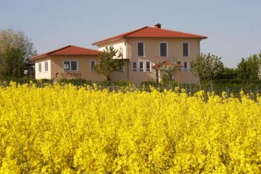 Weingut Holz-Liebrich (© Weingut Holz-Liebrich)