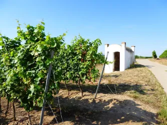 Trullo_Silberberg_Monsheim (© Michael Röhrenbeck)