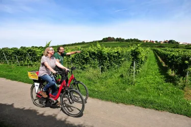 Auf dem Zellertal-Radweg
