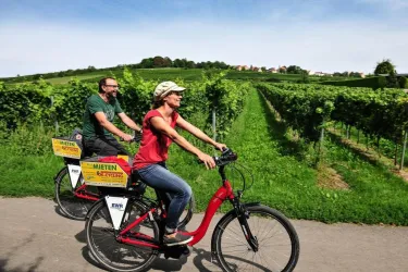 Auf dem Zellertal-Radweg bei Wachenheim