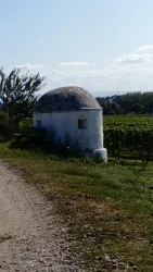 Trullo im Silberberg (© VG Monsheim)