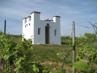Weingerstheisje auf der Halde (© Michael Röhrenbeck)