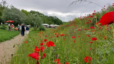 Weinrast im Pfrimmgarten Impressionen (© Michael Röhrenbeck)