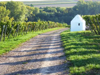 Trullo an der Heerstraße (© VG Monsheim)
