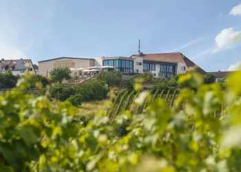 Winzergenossenschaft H/Bg. (© Copyright PFALZWEINFOTO.png)