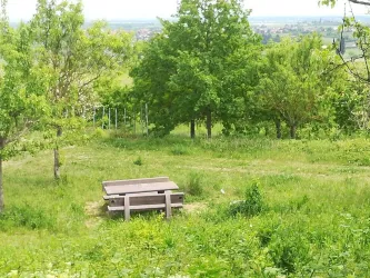 Rastplatz 1 Bild 1 (© Urlaubsregion Freinsheim)