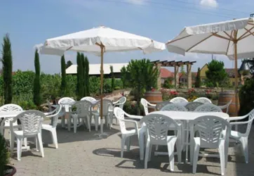Winzercafé Terrasse (© Schlipp-Rohrbach)