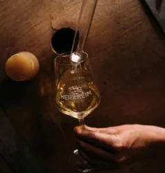 Wine unplugged (© Winzergenossenschaft Herxheim a. Bg.)