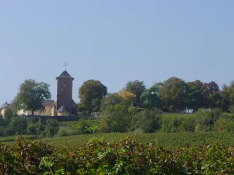 Blick auf Schloßgarten H.a.Bg. (© Urlaubsregion Freinsheim)
