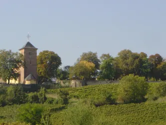 Blick auf Schloßgarten (© Hr. Dörr)