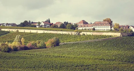 Weingut Schumacher - Ansicht von Süden (© Weingut Schumacher)