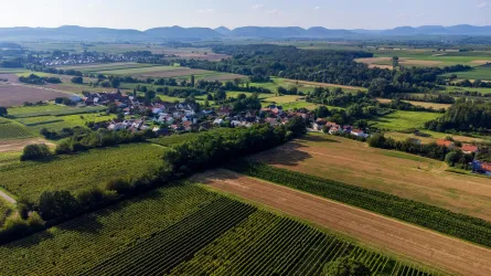Hergersweiler von oben (© Tourismusverein SÜW Bad Bergzabern e.V.)