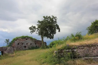 Ruine Lindelbrunn
