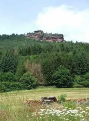 Rödelstein (© TI Bad Bergzabern)