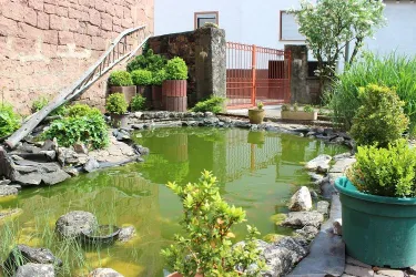 Teich, Bild 2 (© Volker Christmann)