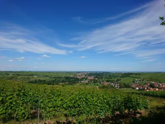 Blick in die Rheinebene über Birkweiler hinweg