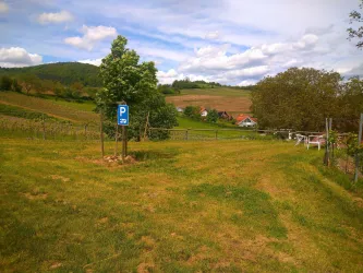 Wohnmobilstellplatz Weingut Herrenbergerhof II