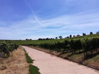 Weinlage Mandelberg