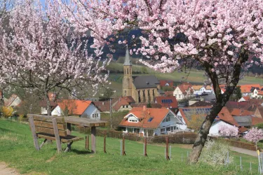 Katholische Kirche mit Mandelblüten
