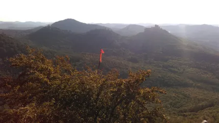 Ausblick auf Trifels, Anebos & Münz im Spätsommer