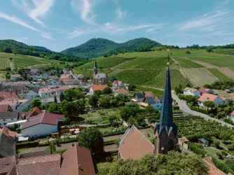 Birkweiler von oben