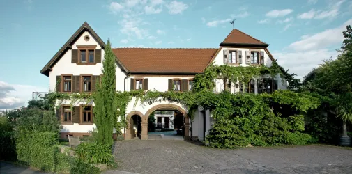 Weingut Scholler