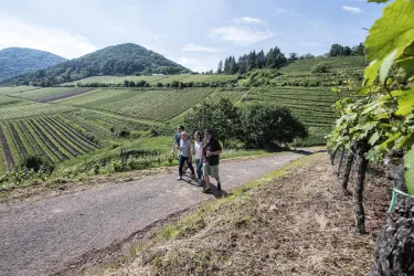 Wandern im Keschdebusch