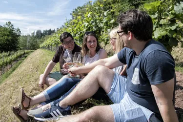 Genuss mitten im Weinberg