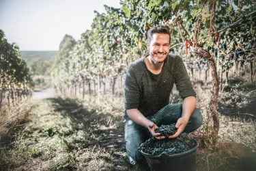 Mathias Wolf im Weinberg