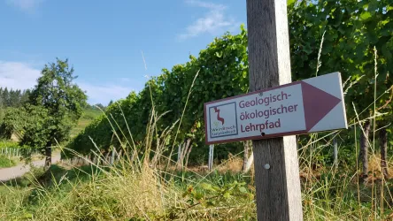 WeinBruch Kastanienbusch