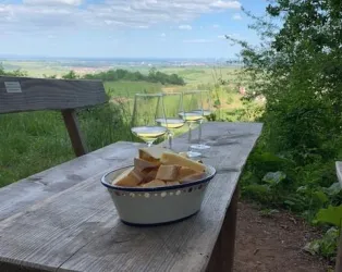 Wein und Weitsicht